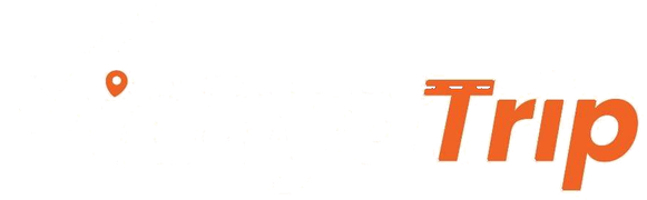 VidhyaTrip